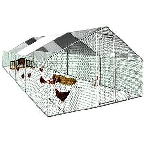 Enclos XXL pour Poules – Parc de 24m² en Acier Galvanisé avec Structure Renforcée